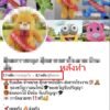 เพิ่ม Like Facebook