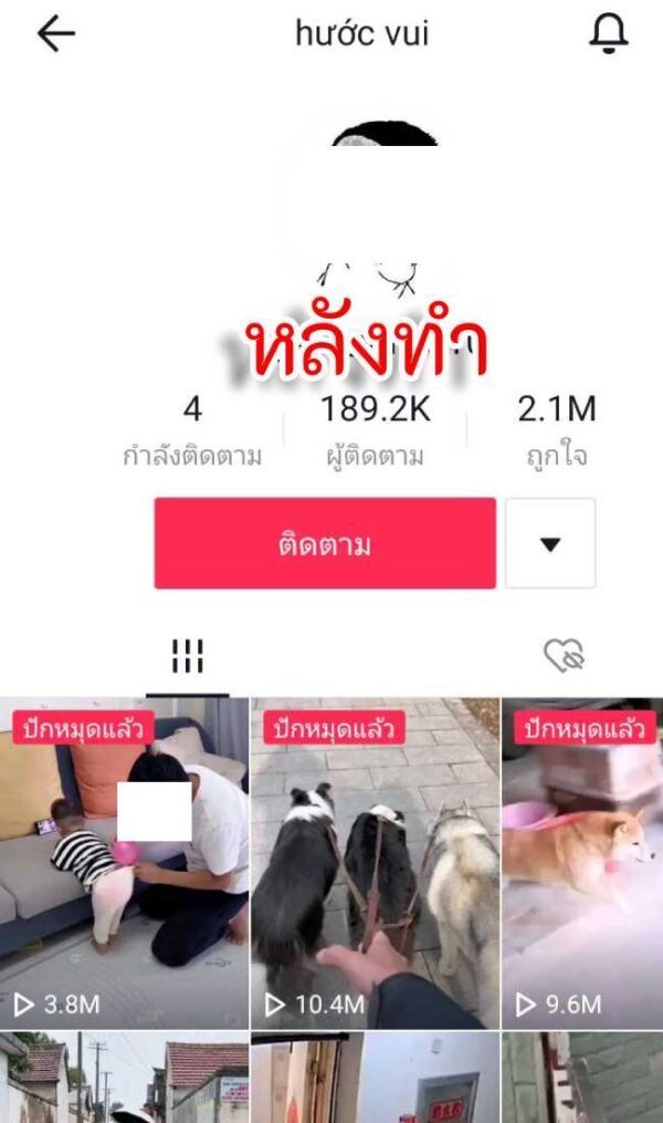 วิธีตั้งค่าบัญชี TikTok มีอะไรบ้าง?