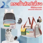 Foldable Cat Carrier with Ventilation Holes 🌬️🐱