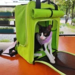 กระเป๋าขนาดเล็กสำหรับสัตว์เลี้ยง: สะดวกสบาย