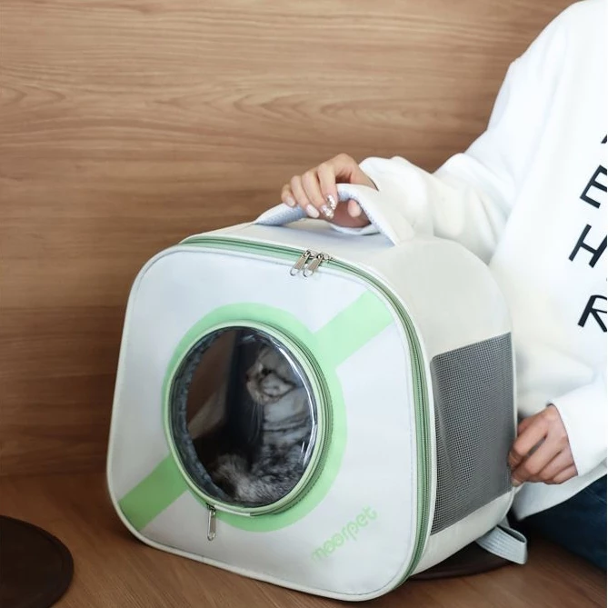 Travel-Friendly Cat Box 🐱✈️