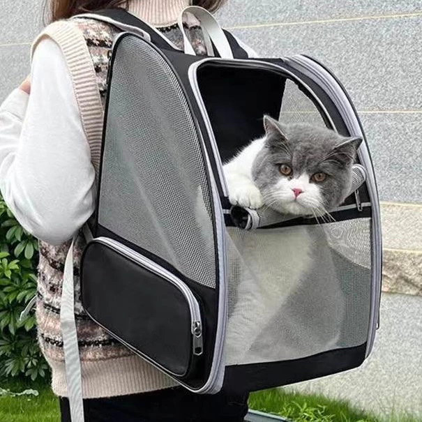 Pet Haven Foldable Backpack 🏡🐾