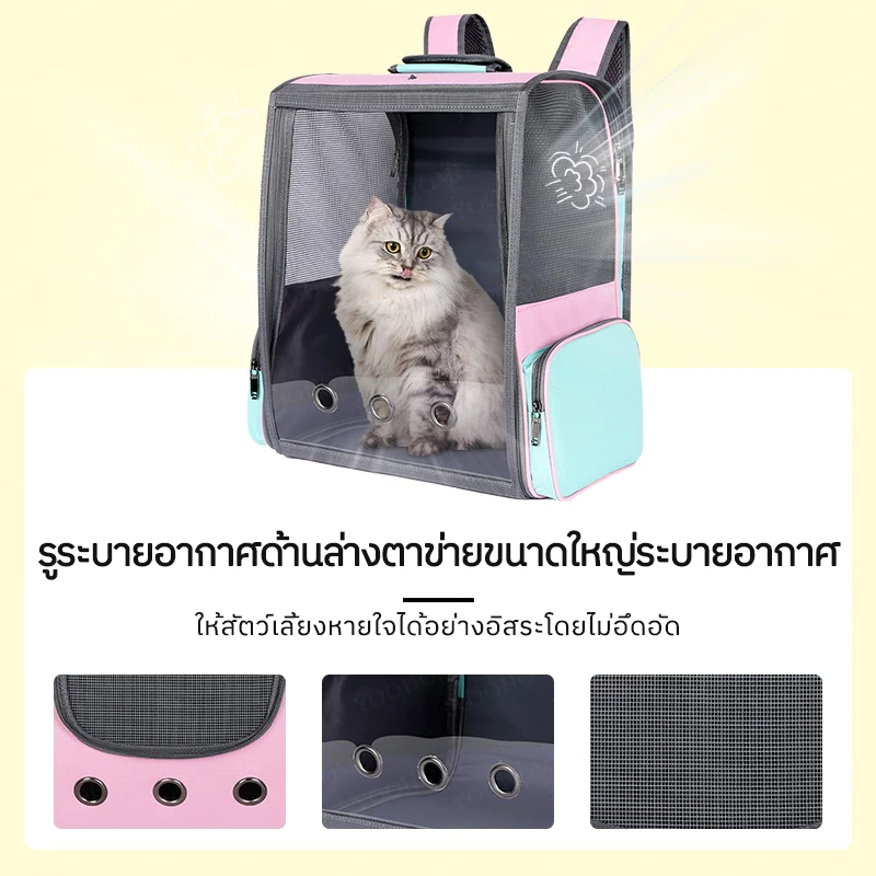 Durable Pet Carrier 💪 กระเป๋าที่ทนทานและไม่เสียรูป