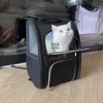 Kenneth Cole: กระเป๋าสัตว์เลี้ยงพับเก็บได้ สะดวกทุกการเดินทาง