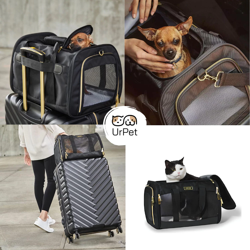 Kenneth Cole กระเป๋าสัตว์เลี้ยงที่ตอบโจทย์ทุกการเดินทาง