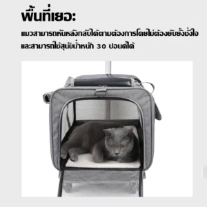 กระเป๋าเดินทางสัตว์เลี้ยงแบบล้อลาก ที่สุดของความสะดวก