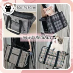 กระเป๋าแมวระบายอากาศ ดีไซน์ทันสมัย