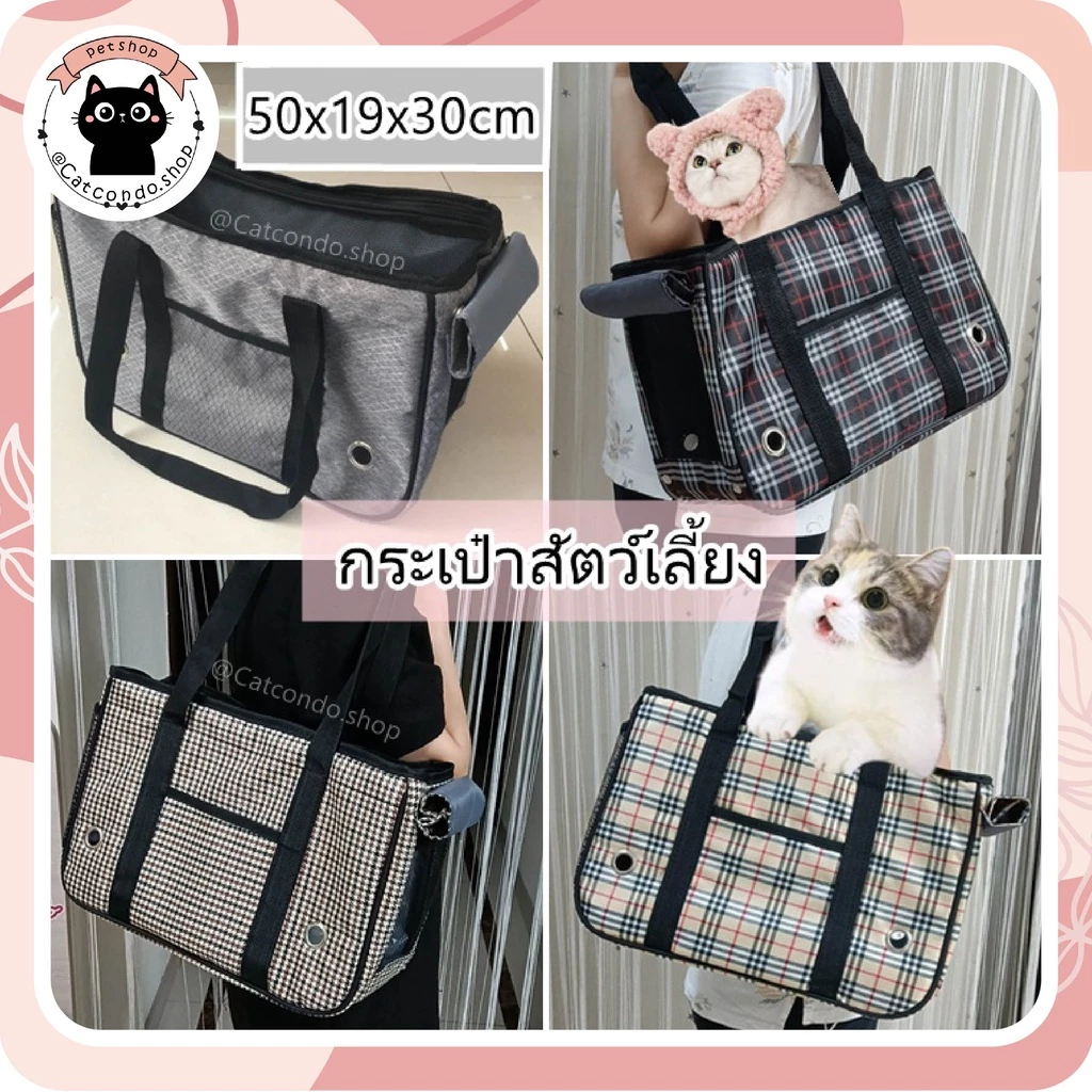 กระเป๋าแมวระบายอากาศ ดีไซน์ทันสมัย