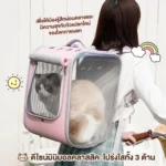 กระเป๋าแมวสะพายหลังสุดชิค