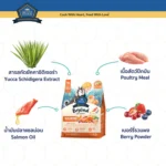 Buzz Beyond อาหารสุนัขสำหรับทุกวัย