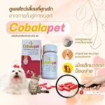 Cobalapet: วิตามิน B สำหรับการเจริญเติบโตที่แข็งแรง 🌱🐱