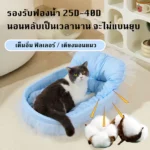 Warm & Fuzzy Pet House