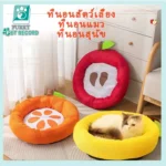 Charming Cat Cushion 🐈