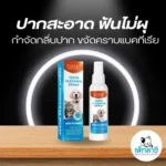 Elaimei: สูตรดับกลิ่นปากและบำรุงฟัน 🍏✨