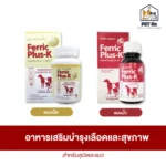 Ferric Plus-K อาหารเสริมเพื่อระบบไหลเวียนเลือดที่สมบูรณ์