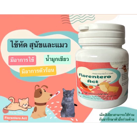 Florentero Act: ลดไข้และบรรเทาอาการ 🌟🐱