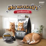 Gager: ทรายดูดกลิ่นพลังช้างที่ดีที่สุด