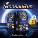Gager Bentonite Cat Litter: ปกป้องบ้านจากกลิ่น