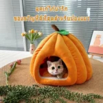 Luxury Cat & Dog House บ้านแมวและสุนัขหรูหรา