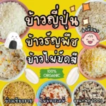 MildCare Rice – ข้าวเด็ก 6 เดือน+ ปลอดภัยจากธรรมชาติ