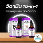 Oimmal วิตามินรวมเสริมสุขภาพฟันให้แข็งแรง ⚡