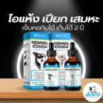 Oimmal Kennel Cough เห็นผลเร็วใน 30 วัน ⏳