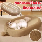 Fun & Functional Cat Nail File เครื่องเหลากรงเล็บที่สนุก