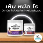 Petganic: ขนมอร่อยเพื่อความสะอาดและสุขภาพ 🌸🐶