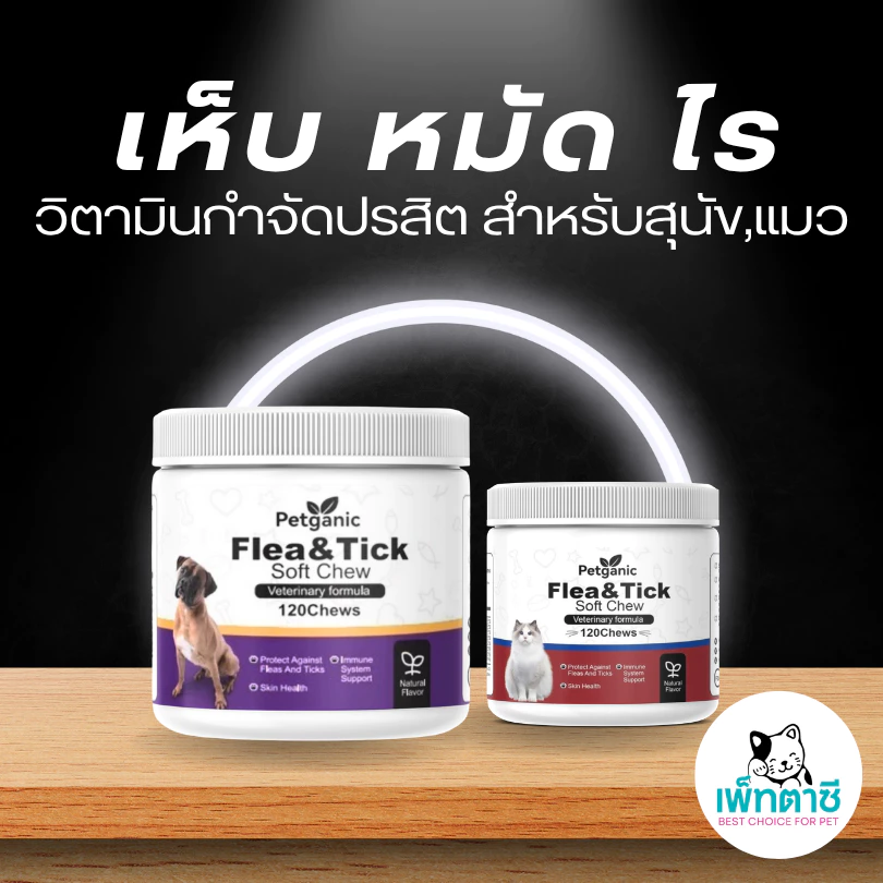 Petganic: ขนมอร่อยเพื่อความสะอาดและสุขภาพ 🌸🐶