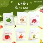 First Veggie Powder ผงผักสำหรับวัยเริ่มต้น