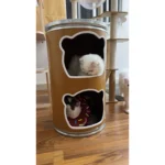 Heritage Haven for Cats