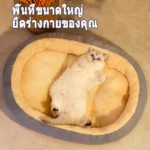 Wagging Tails Bed เตียงนอนสำหรับน้องหมาและแมว