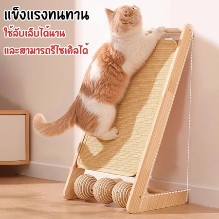 Cozy Cat Scratch House บ้านแมวที่ลับเล็บ