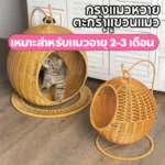Summer Breeze Cat Basket ตะกร้าแมวรับลมฤดูร้อน
