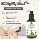 Soothe & Protect Shampoo: แชมพูบรรเทาและป้องกันโรคผิวหนัง