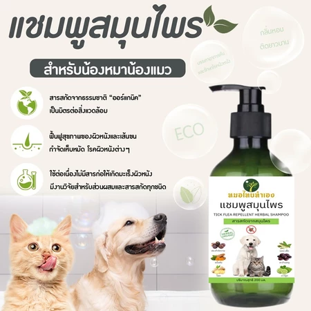 Soothe & Protect Shampoo: แชมพูบรรเทาและป้องกันโรคผิวหนัง