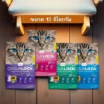 Volcanic Shield: ปกป้องบ้านจากกลิ่น