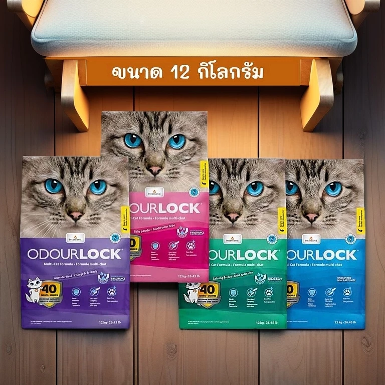 Volcanic Shield: ปกป้องบ้านจากกลิ่น