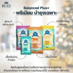 Buzz Balanced Plus+ อาหารแมวที่ใส่ใจสุขภาพ