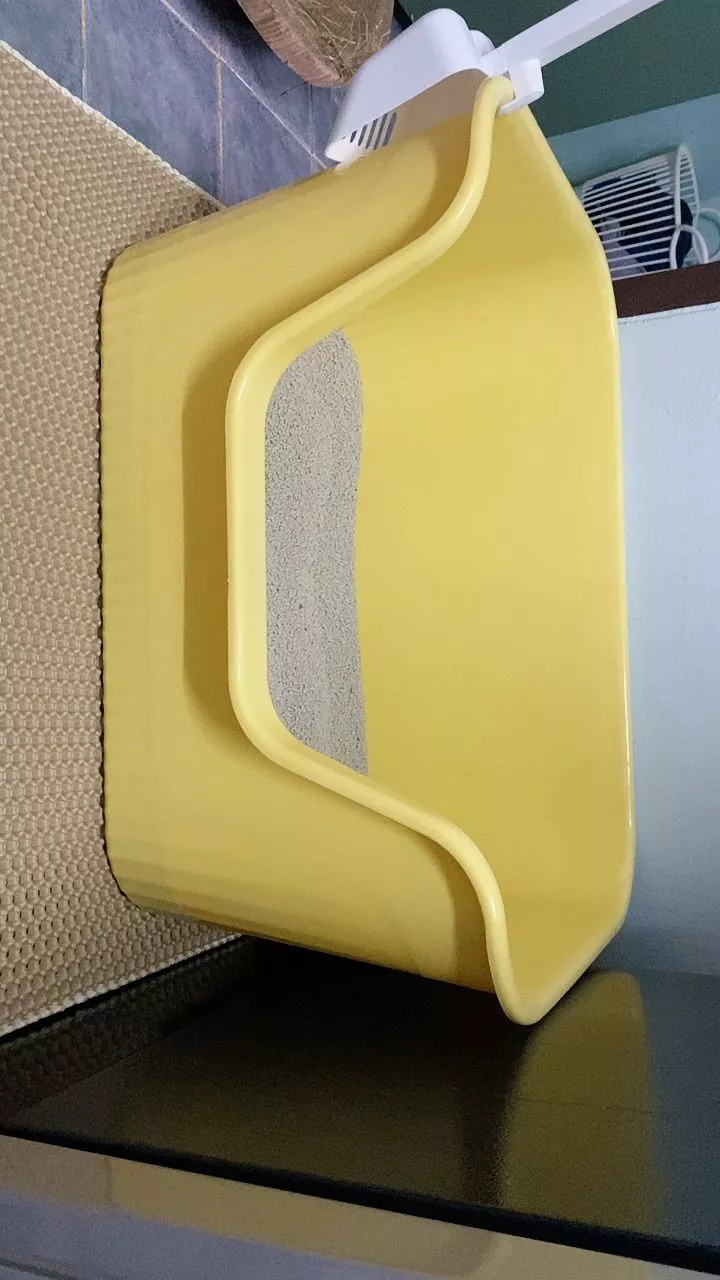 🐾 กระบะทรายแมวขอบสูง ตะแกรงดักทรายที่มีประสิทธิภาพ