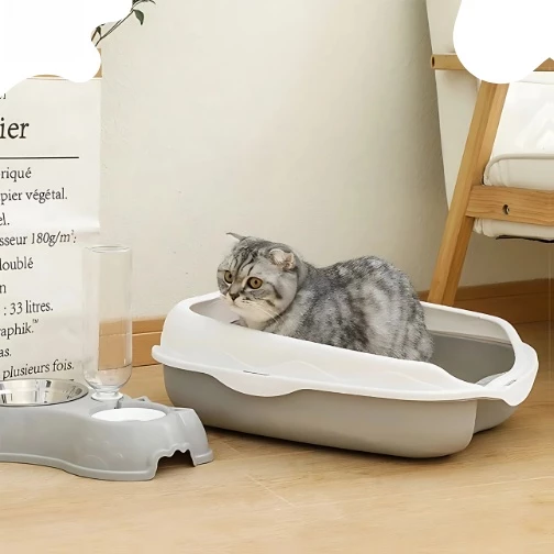 กระบะทรายแมวขอบสูงเพื่อความสะดวกสบาย 🎯