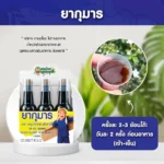 Kumarn Khunsamrit x3 วิตามินเด็ก เสริมภูมิคุ้มกันอย่างมั่นใจ