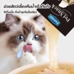 ซองอาหารแมวที่ทำให้แมวมีความสุข