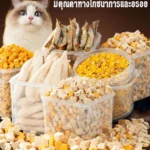 ไก่ฟรีซดรายแมว 100% อร่อยและปลอดภัย