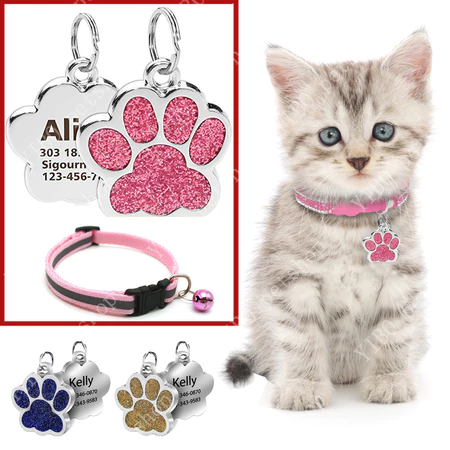 ป้ายแท็กชื่อสัตว์เลี้ยงดีไซน์ทันสมัย