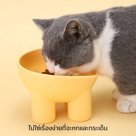 ชามอาหารสัตว์เลี้ยงที่ใช้งานง่าย