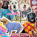 ชุดกันขนร่วงสุนัขโกลเด้นที่น่ารัก