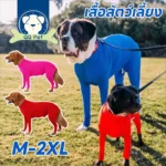 ชุด BodySuit กันขนร่วง สำหรับเพื่อนขนฟู