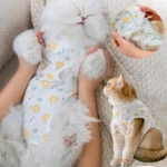 ชุดป้องกันการเลียแผลที่ทนทาน