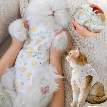 ชุดป้องกันการเลียแผลที่ทนทาน